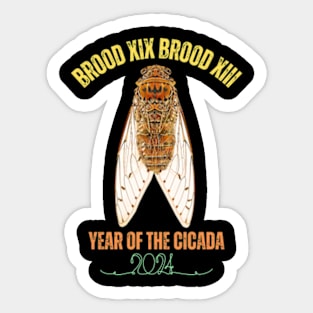 Cicada Lover Brood XIX Brood XIII Year Of The Cicada 2024 Sticker